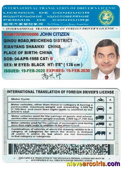 INTERNATIONAL TRANSLATION OF DRIVERS LICENSE